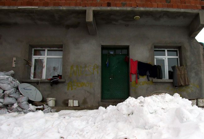 vahşet-1