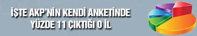 anket_banner