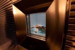 Iceman Ötzi