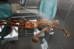 Iceman Ötzi