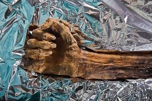 Iceman Ötzi