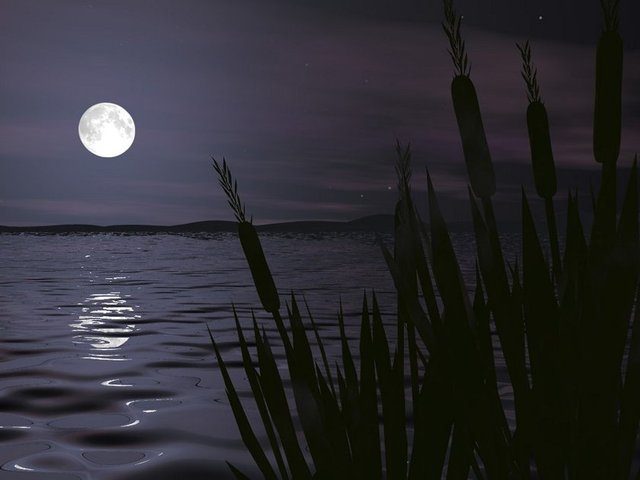 3. Gece saat sekizde yatıyorum ve yatarken guguklu saatimi sabah dokuza kuruyorum kaç saat uyurum?