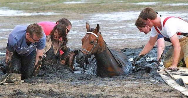 Birçok farklı yöntem denendi ki bunlardan bir tanesi de helikopterdi. Fakat Astro hiçbir şekilde çamurdan çıkarılamıyordu. Nicole ağlamaktan mahvolmuş durumdaydı