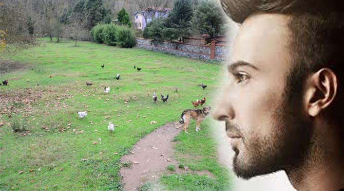 Megastar Tarkan, yapımı hızla süren köprünün son mağdur ettiği isim oldu.SOZCU / Tarkan ABDULLAHOĞLU