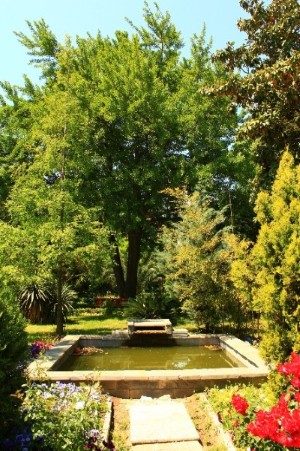 Botanik bahçeden İstanbul’u seyretmek İstanbul Üniversitesi’nin botanik bahçesine ücretsiz olarak girip binlerce bitki türünü İstanbul’un eşsiz manzarasıyla keşfedebilirsiniz. Dilerseniz dışarıdan alacağınız birkaç liralık meyve ya da içeriden alabileceğiniz çay kahve ile bu muhteşem keşfi taçlandırabilirsiniz.