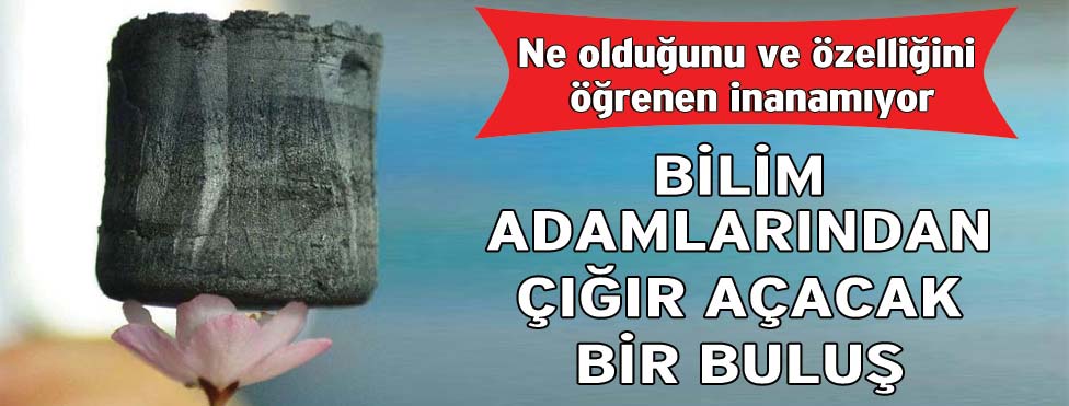 Birbirinden ilginç 20 bilgi ve şaşırtan görüntü Dünyadan Son Haberler