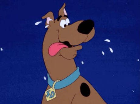 7. "Köpekler salya akıtarak terler" <br /><br />Hayır. Ağızlarından hızlı bir şekilde soluk alıp vererek vücut sıcaklıklarını düzenlerler. Terleme işlemini aslında ayak tabanlarından yaparlar.