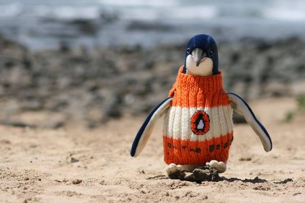 Alfred-Date-kucuk-penguenler-kazak-orgu-nolmus-34