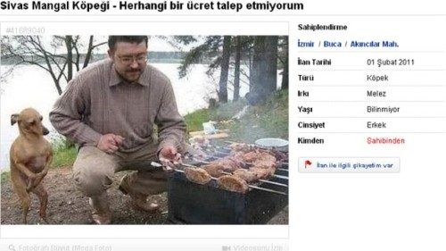 Bahçeli evi, çiftliği olanlar için bire bir. Apartman dairesinde besleyecekseniz tavsiye etmiyorum. Etlerin basında durur, ters yüz edileceği zaman havlayarak haber verir. Kesinlikle yemeye kalkışmaz.