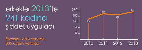 Şiddet - Yaralama - 2013 yılı verileri
