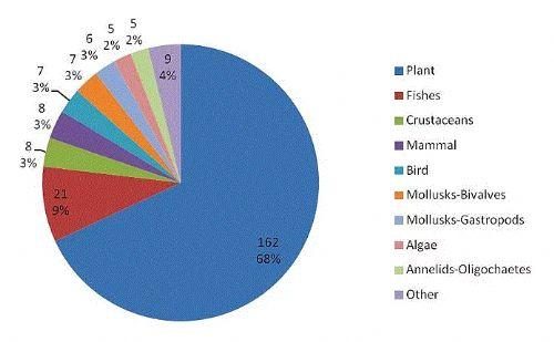 Tüm türlerin yaklaşık olarak sadece %14'ü tanımlanabilmiştir.