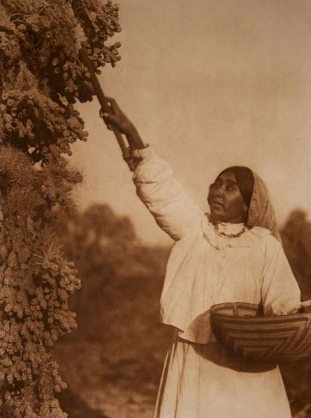 Fotoğrafçı Edward Curtis, 1900’lerde başladığı gezisinin ilk yıllarında karısı ve çocuğu ile birlikte dolaşıyordu.