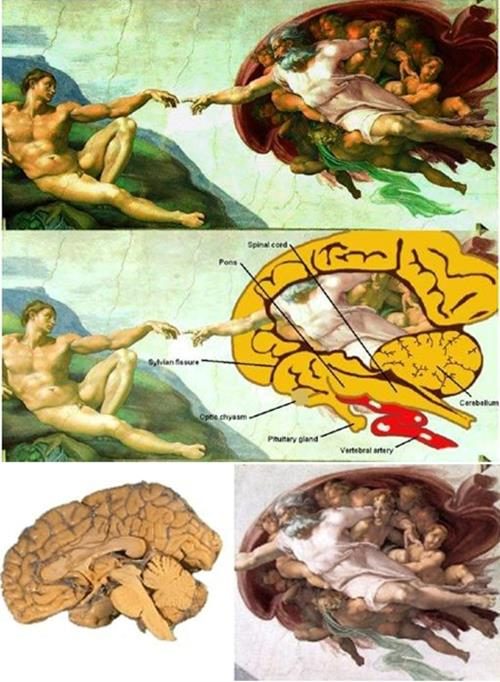 Beyin Tanrı<br /><br /> Mikalanjelo'nun meşhur "Adem'in yaradılışı" çalışması, Sistine Şapeli'nin tavanını yüz yıllardır süslemekte. Bu çalışmada en dikkat çekici özeliklerden biri, Tanrı figürünün gökyüzünde garip bir geometrik cismin içinden çıkmasıdır. Söz konmusu cismin dikkatli incelendiğinde aslında bir insan beyninin yarısının iç kısmını sembolize ettiği anlaşılabiliyor. <br /><br />Bilinene göre Mikalanjelo ve onunla aynı çağda yaşamış pek çok sanatçı insan anatomisini daha iyi tanıyabilmek için cesetler üstünde çalışmalar yapıyorlardı. Yani Mikalanjelo çok büyük bir olasılıkla insan beyninin iç yapısını biliyordu. Peki neden Tanrı'yı insan beyninin içinden çıkacak şekilde resmetmişti? Nasıl bir mesaj vermek istiyordu?