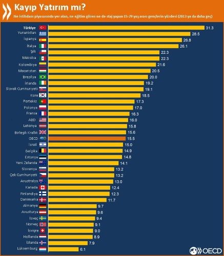 oecd-2015-genc-issizlik-2-custom.jpg