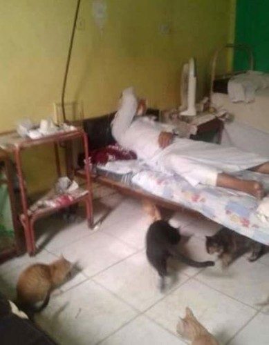Mısır'da Başbakan İbrahim Mihlib'in başkent Kahire'deki devlet hastanelerine düzenlediği sürpriz ziyaret, bu hastanelerdeki yetersiz şartların ve başıboşluğun tüm çıplaklığıyla gözler önüne serilmesini sağladı.