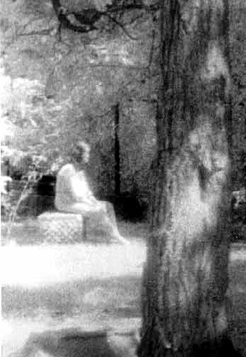 Şikago yakınlarındaki bir mezarlıkta araştırma yapan "Hayalet Araştırma Derneği" bu fotoğrafı çekti.