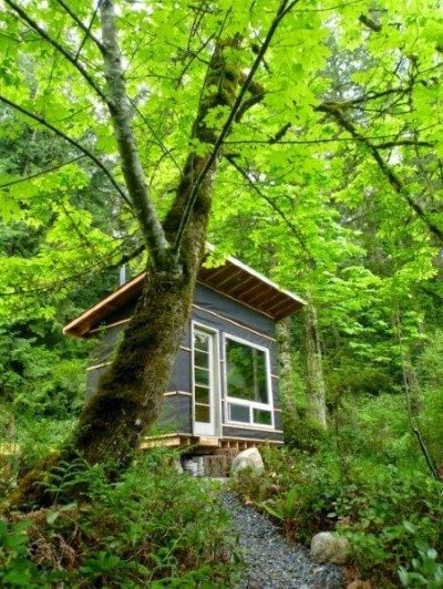 Soğuk havalarda yaktığı en ufak odun parçasıyla bile inanılmaz derecede ısınan küçük evinde uyumakta bazen zorlanıyormuş kendisi bu sebeple.<br /><br /> (Kaynak: nolm.us)