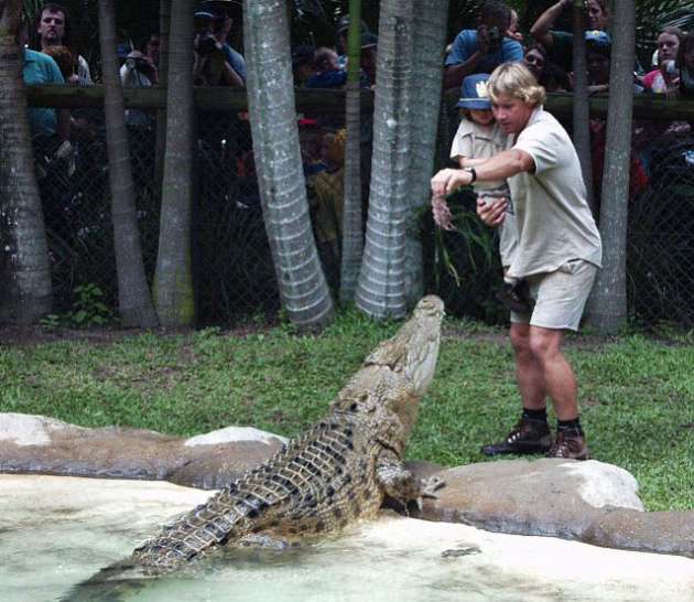 Steve Irwin, 2006 yılında dalış seferi sırasında bir vatoz tarafından göğsüne ölümcül darbe alıp yaşamını yitirmişti.