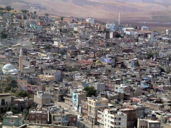 Siirt - 700 kişi