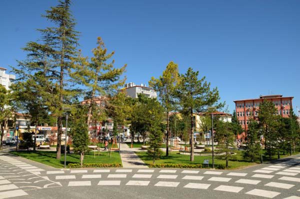Çorum - 250 kişi