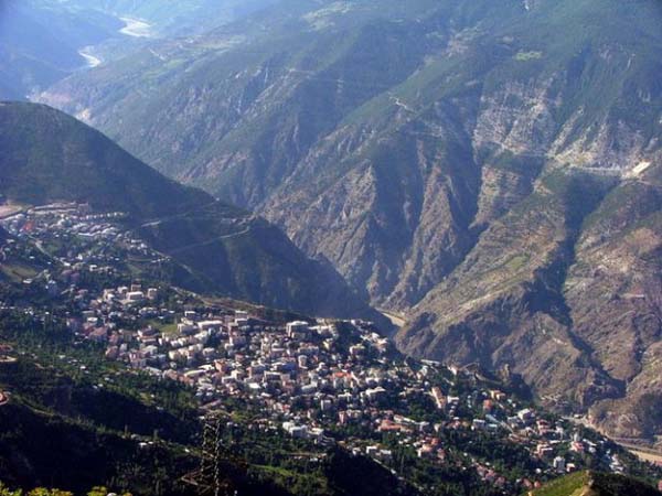 Artvin - 40 kişi