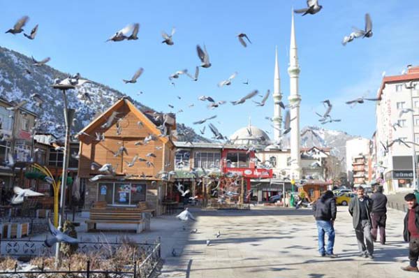 Gümüşhane - 0