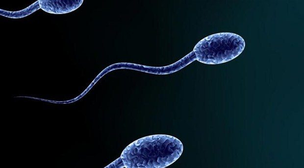 Spermini En Uzağa Fışkırtan Erkek Rekoru:<br /><br /> Bu sefer rekor bir porno yıldızına veya sporcuya ait değil! Horst Schultz isimli mütevazi bir aile babası boşalma anında spermlerini tam 6 metre uzağa fırlatıyor! Bu adama 6 metreden fazla yaklaşmak tehlikeli olabilir!