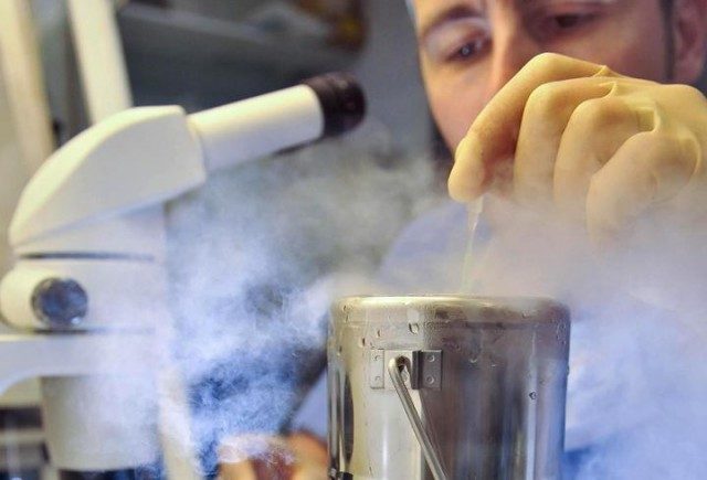 ABD'li bilim insanları, laboratuvar ortamında insan beyninin bütün fonksiyonlarını yerine getirebilen minyatür bir beyin üretti. Sırada beynin yaşamını sürdürebilmesi için yapay kalp ve damar sistemi var.