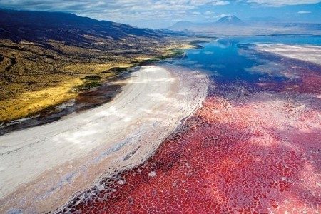 Her dokunanı taş yapan göl hikayesi masallardan fırlamış gibi görünüyorsa da Tanzanya'da yer alan bu göl son derece gerçek.