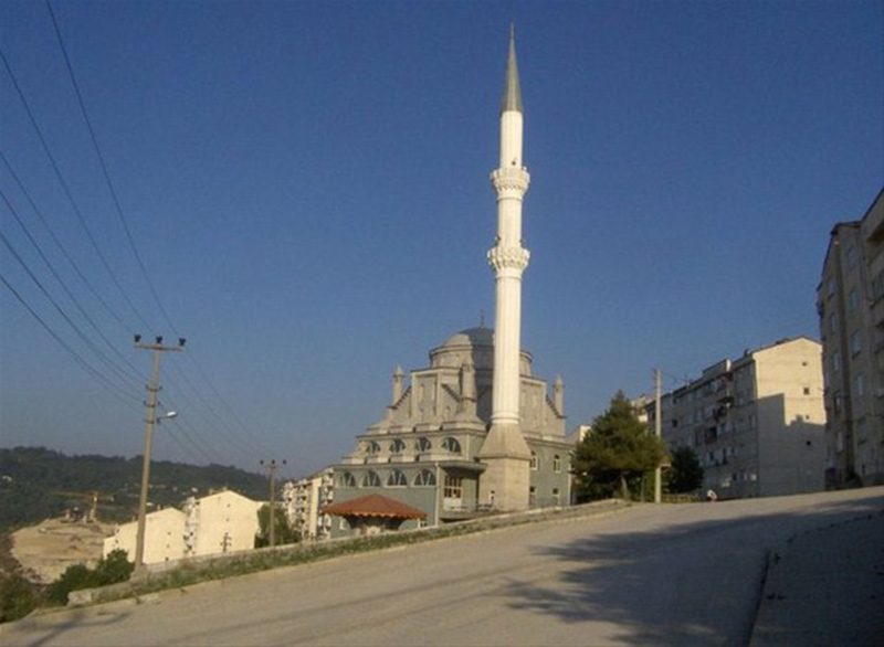 Zonguldak 1,478