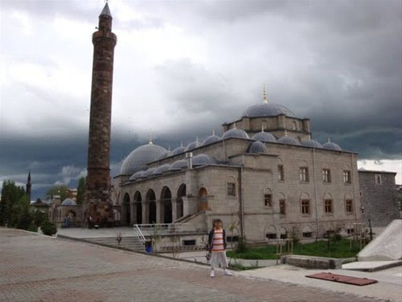 Kars 504