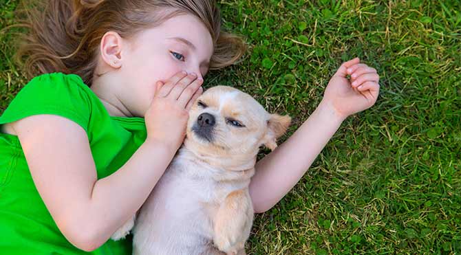 Köpek çocuk için güzel bir dosttur