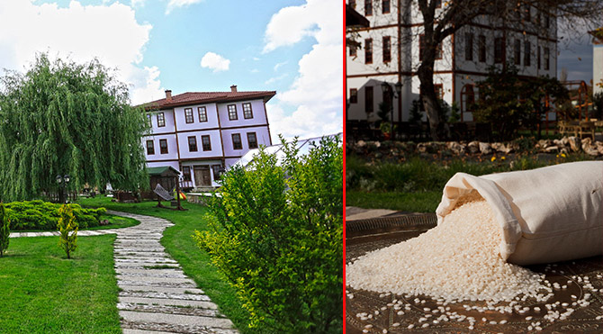 Doğal olmayan ürünlere esir olmayın