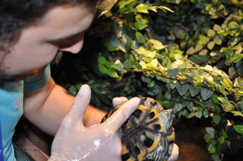 Sea Life Akvaryum, içerisinde barındırdığı 15 binden fazla deniz canlısı yanında 83 metrelik su altı okyanus tüneli ve en önemlisi 'Kaplumbağa Hastanesi'yle kendine akvaryum dünyasında farklı bir yer ediniyor.