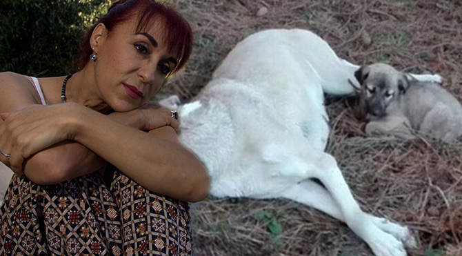 Leman Sam’dan köpeğe tecavüz edenlere tepki