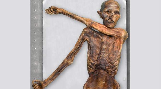 ötzi2