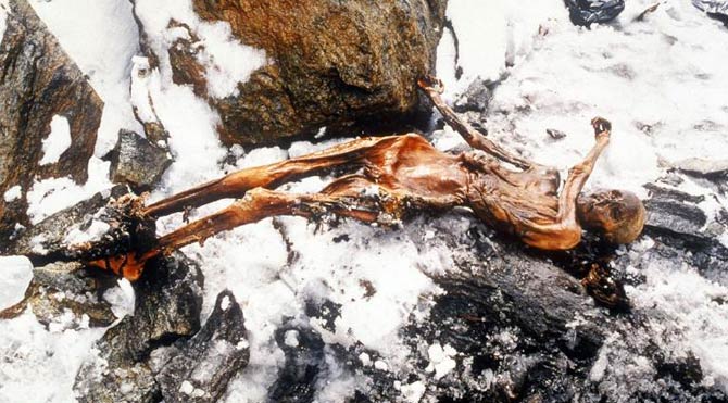 ötzi3