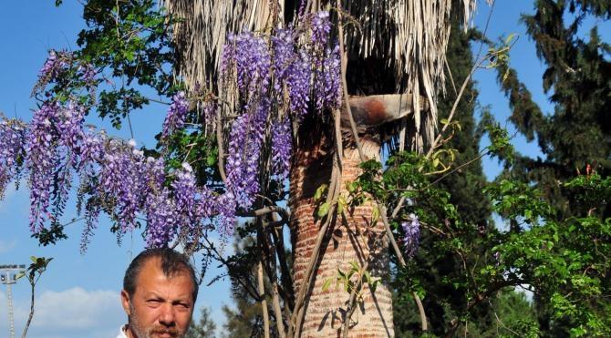 Türkiye'nin endemik bitki türleri Botanik Bahçesi'nde yaşatılacak