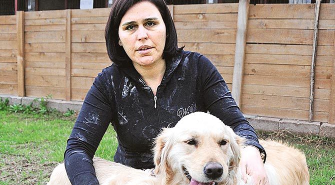Köpeklerini icrayla elinden aldılar