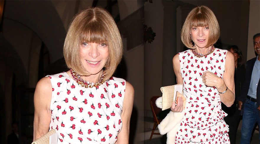 Anna Wintour Anna Wintour Foto: AKM Images