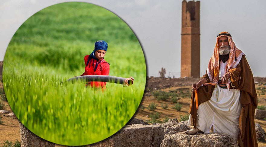 Harran’a gitmek için 9 neden
