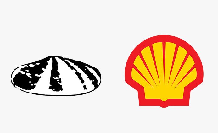 Shell