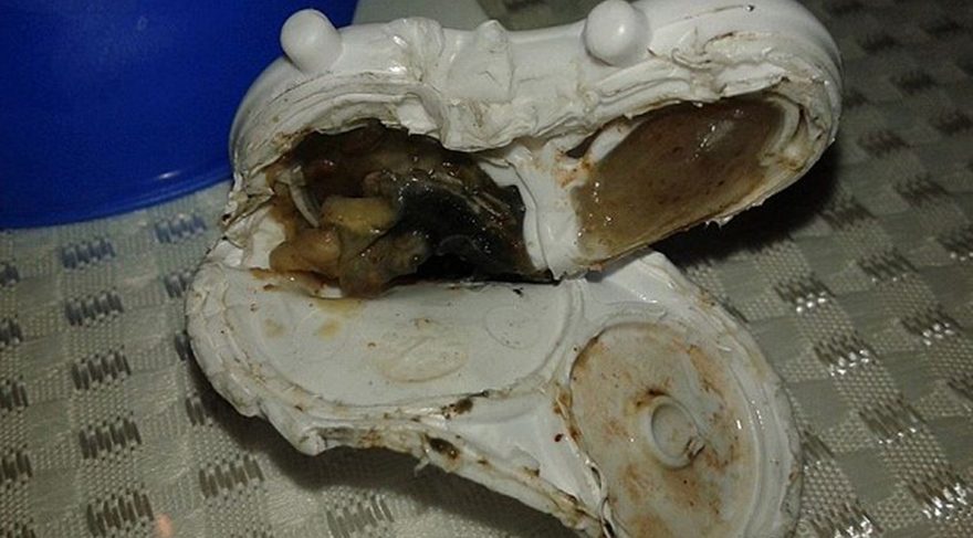 Bu iğrenç şey bir bebek suluğu