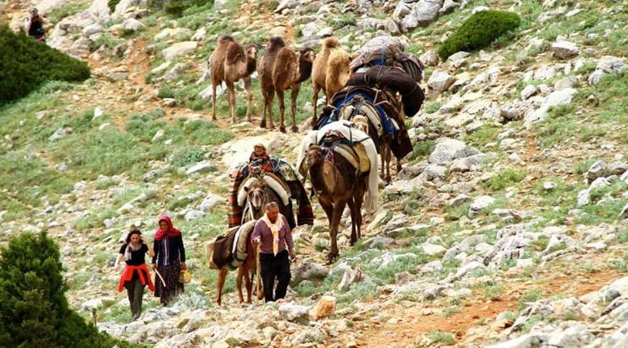 Karaman’a bağlı belediyeden yörük çadırlarına saldırı