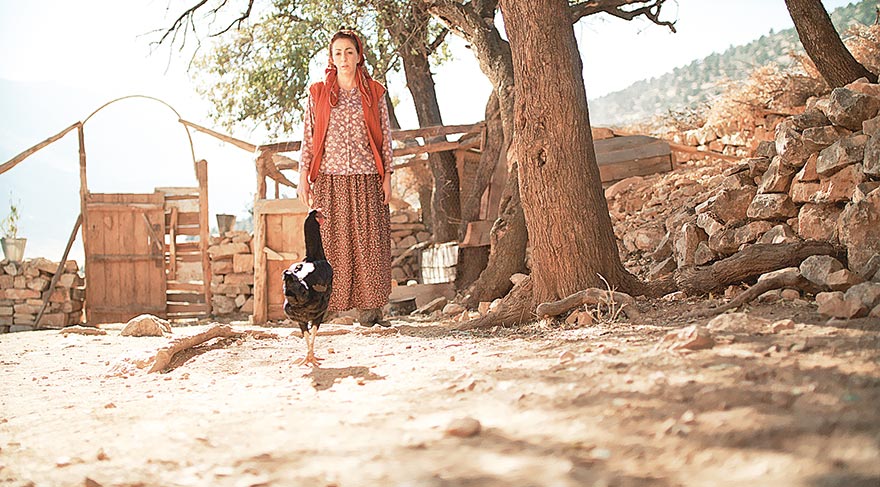 ‘Kümes’ Amerika’ya gidiyor