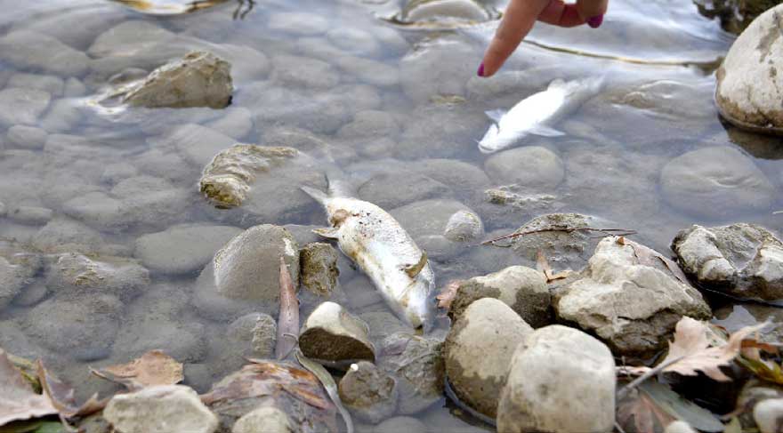 Köprülü Kanyon’da HES eylemi