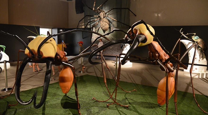 ‘İnanılmaz Böcekler’ sergisi EXPO’da