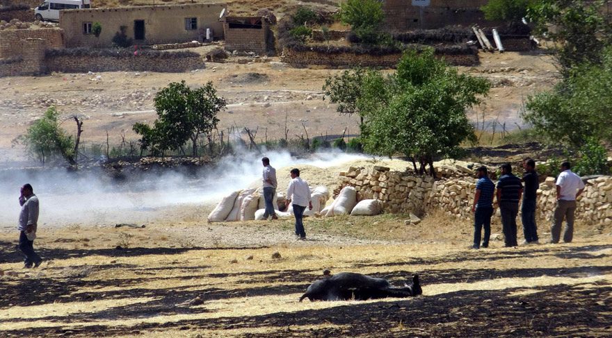 mardin-4
