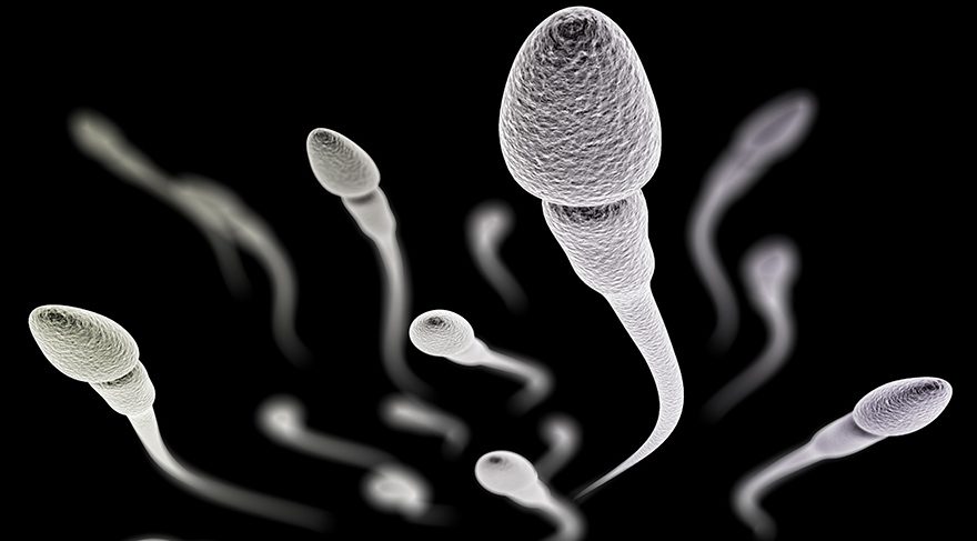 Cep telefonunu cebinde taşıyan erkeklerde sperm kalitesi düşüyor
