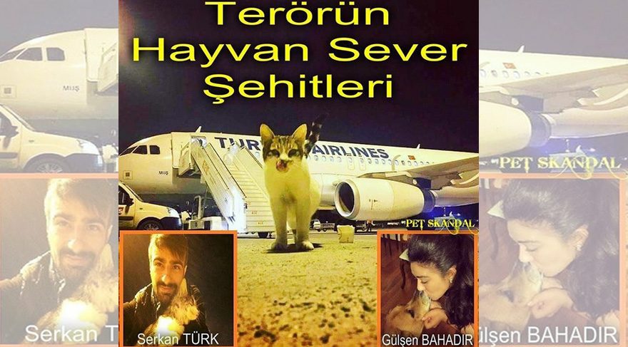 Terörün hayvan sever şehitleri